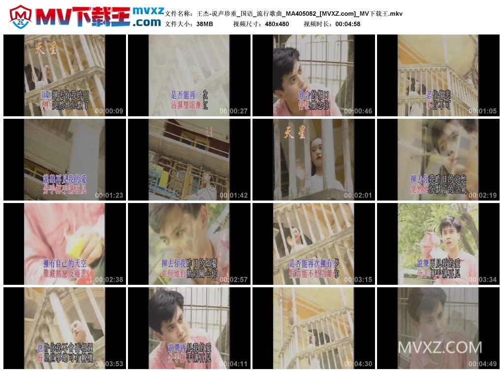 王杰-说声珍重_国语_流行歌曲_MA405082